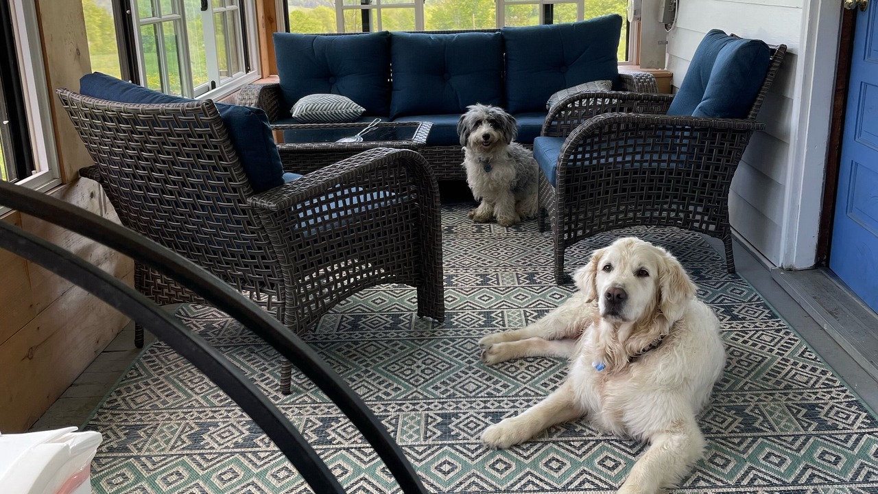 Photo of Outdoor in Weston