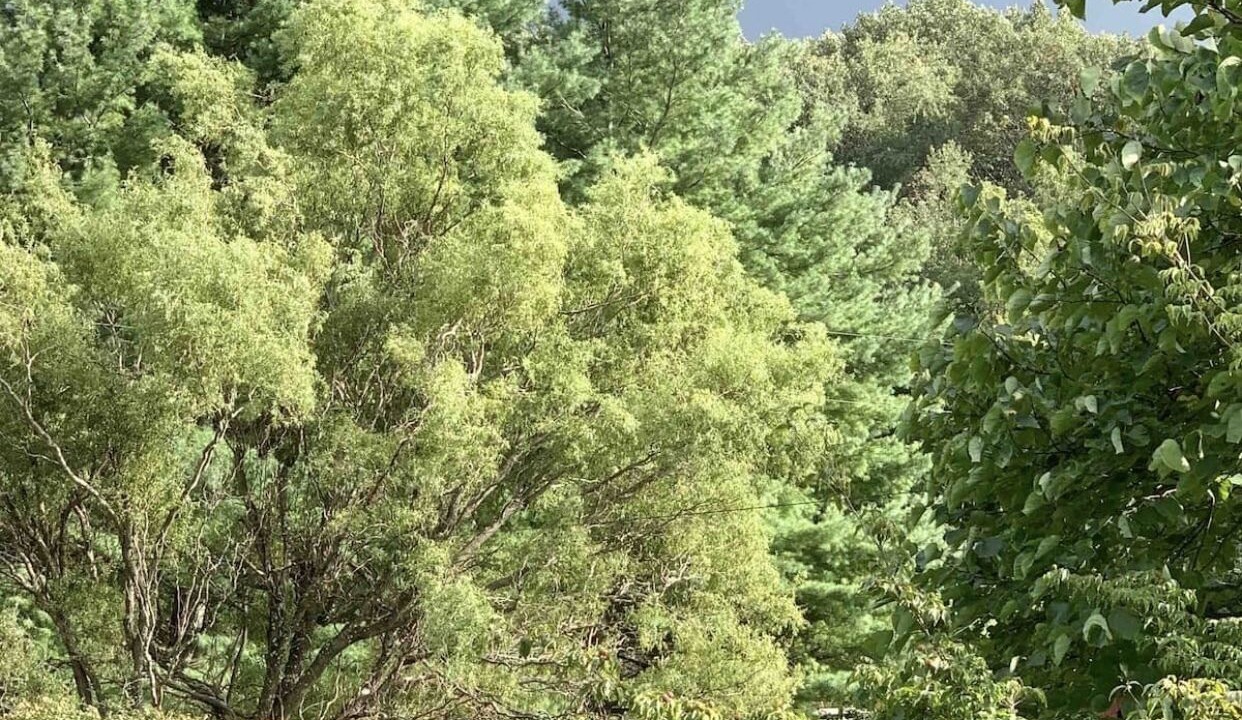 Photo of Others in Spottswood