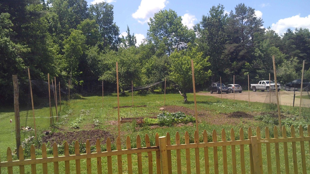 Photo of Outdoor in Indian Lake