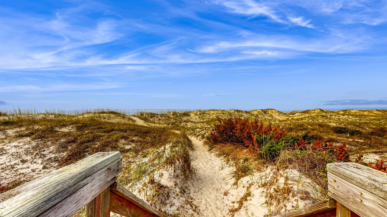 Photo of Outdoor in Morehead City