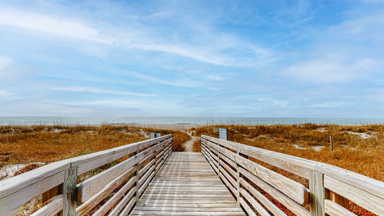 Photo of Others in Morehead City