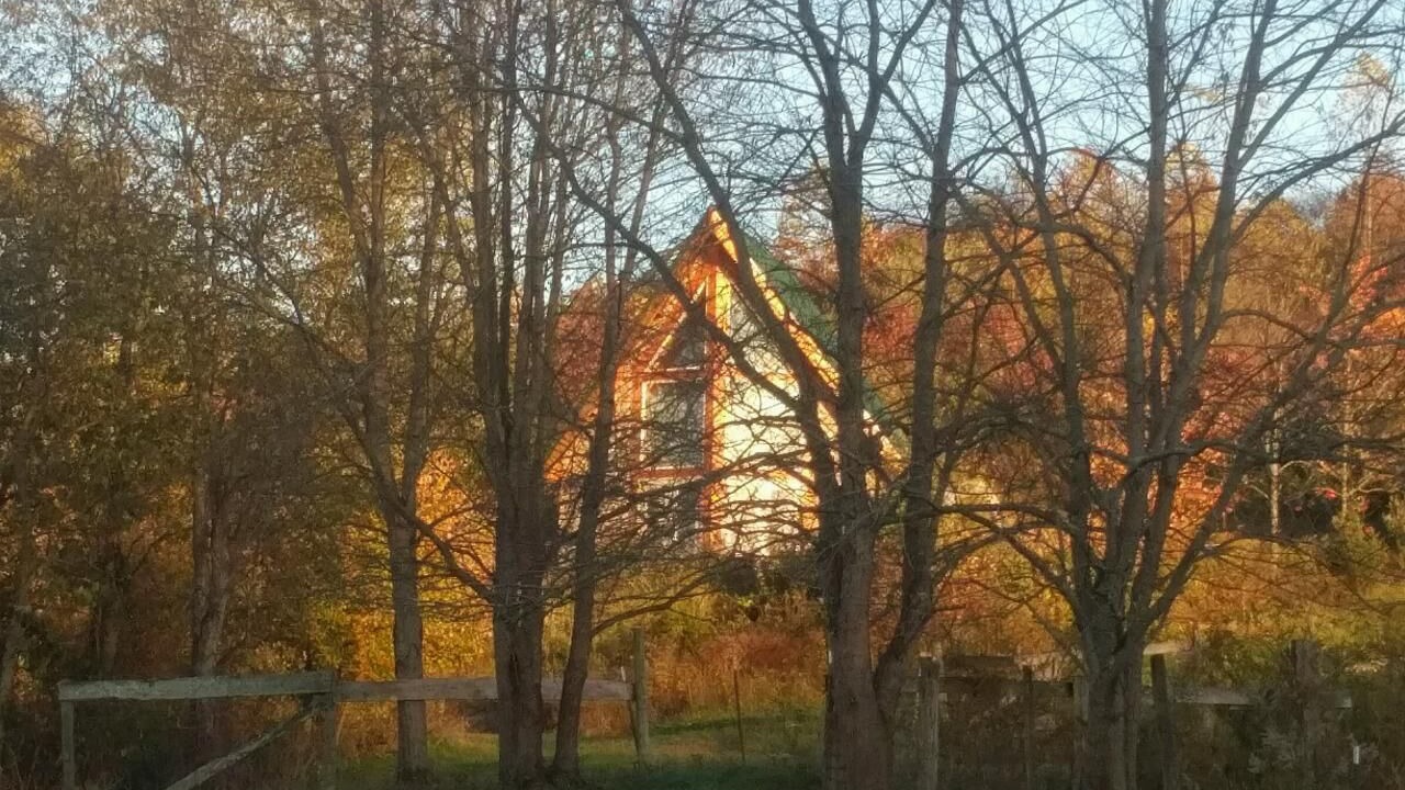 Photo of Others in Laurelville