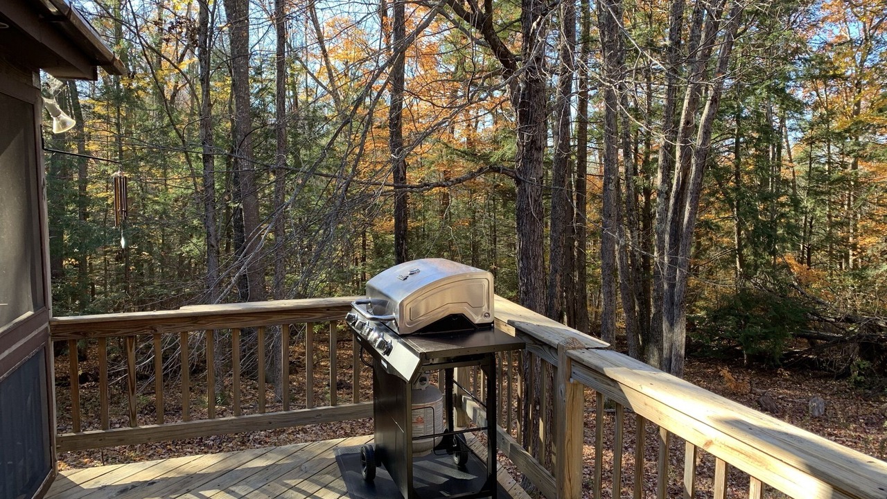 Photo of Outdoor in Gilford