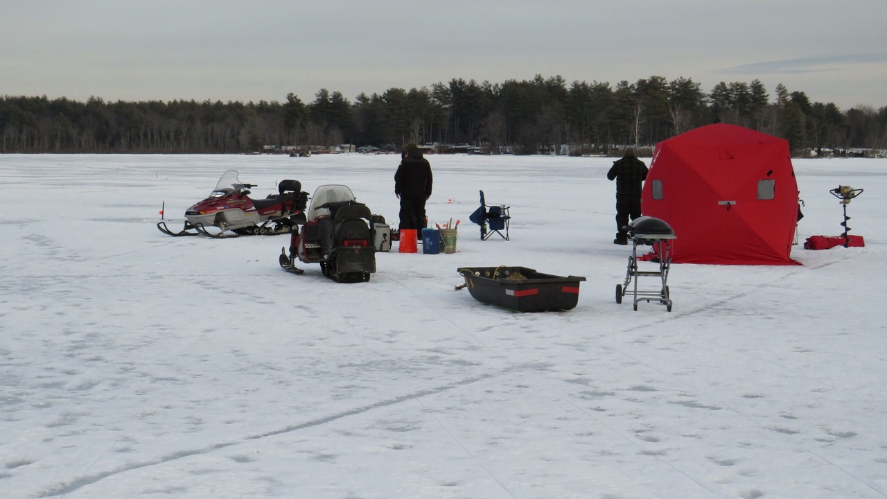 Photo of Others in Farmington