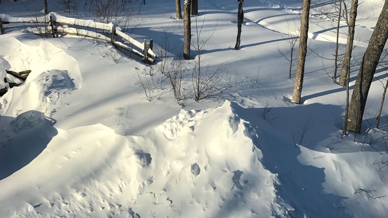 Photo of Others in North Troy