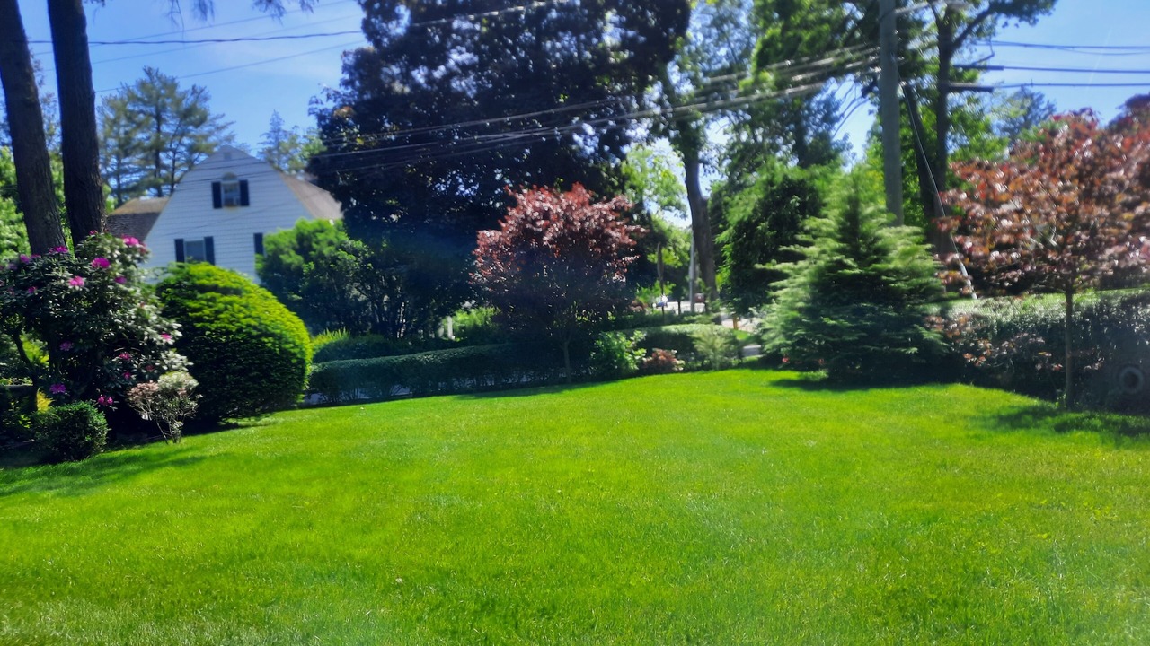 Photo of Outdoor in White Plains