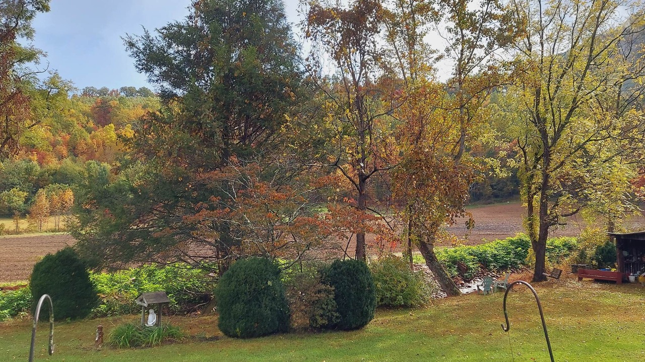 Photo of Outdoor in Lowgap