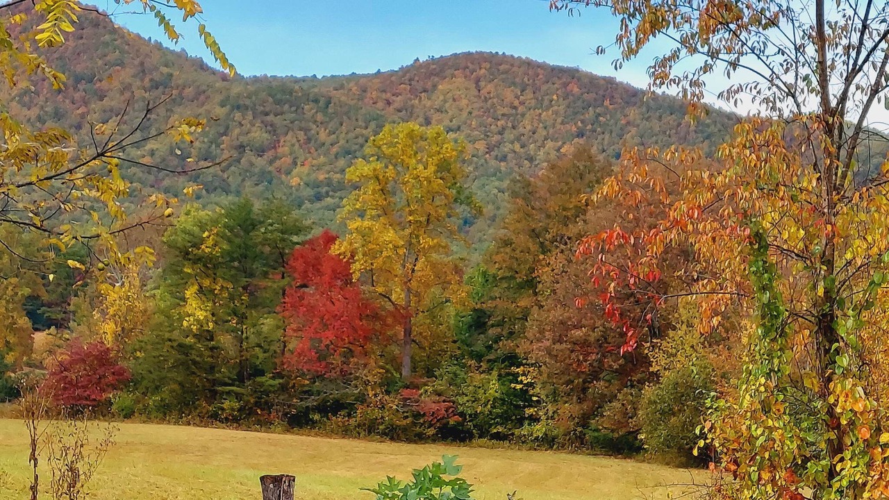 Photo of Outdoor in Lowgap