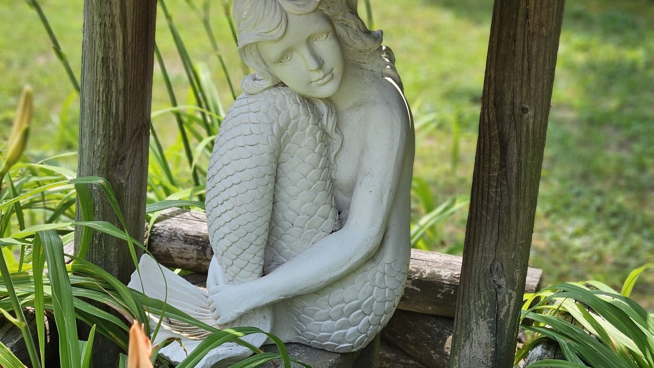 Photo of Outdoor in Lowgap