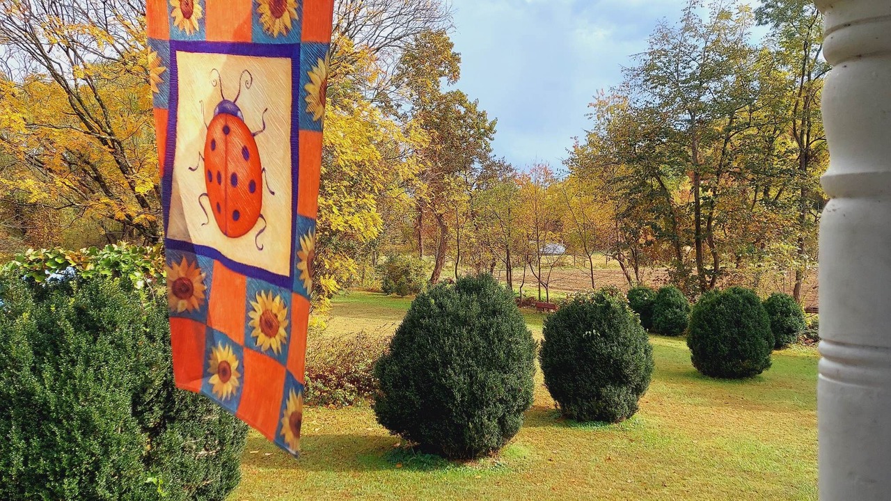 Photo of Outdoor in Lowgap