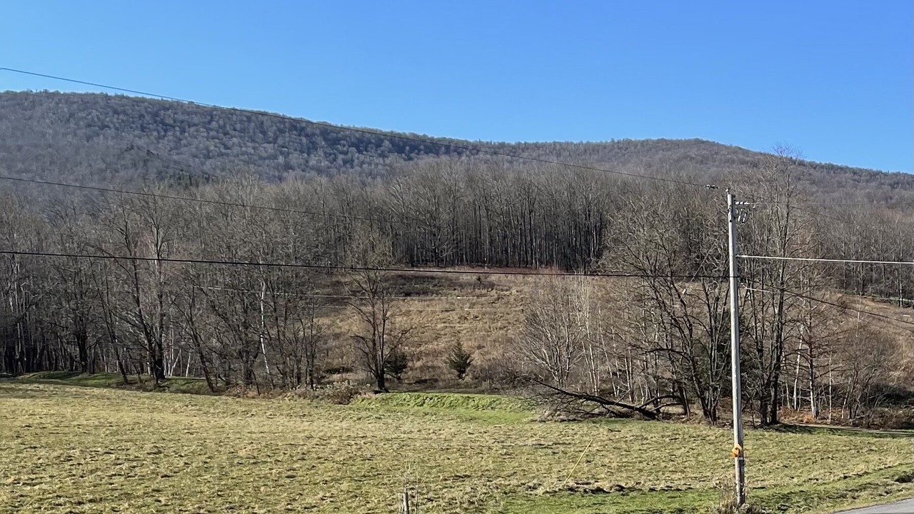 Photo of Others in Prattsville