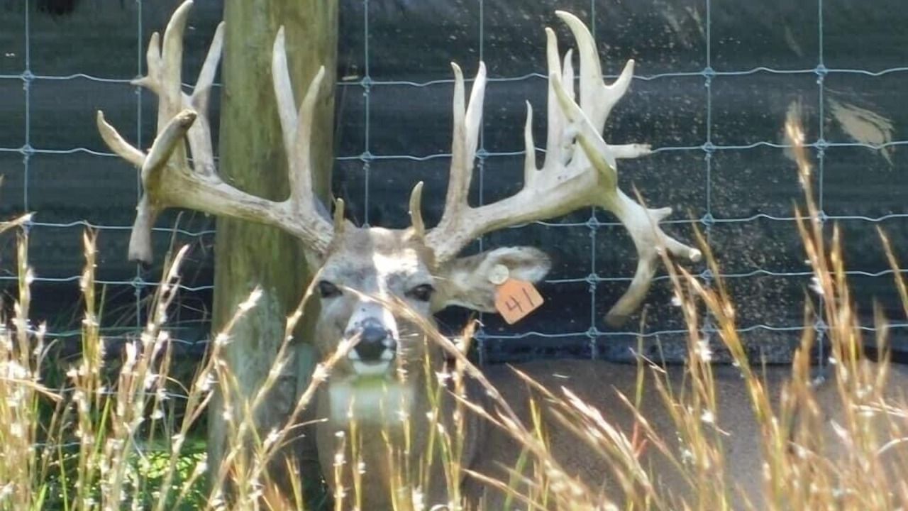 Photo of Others in Buckhannon