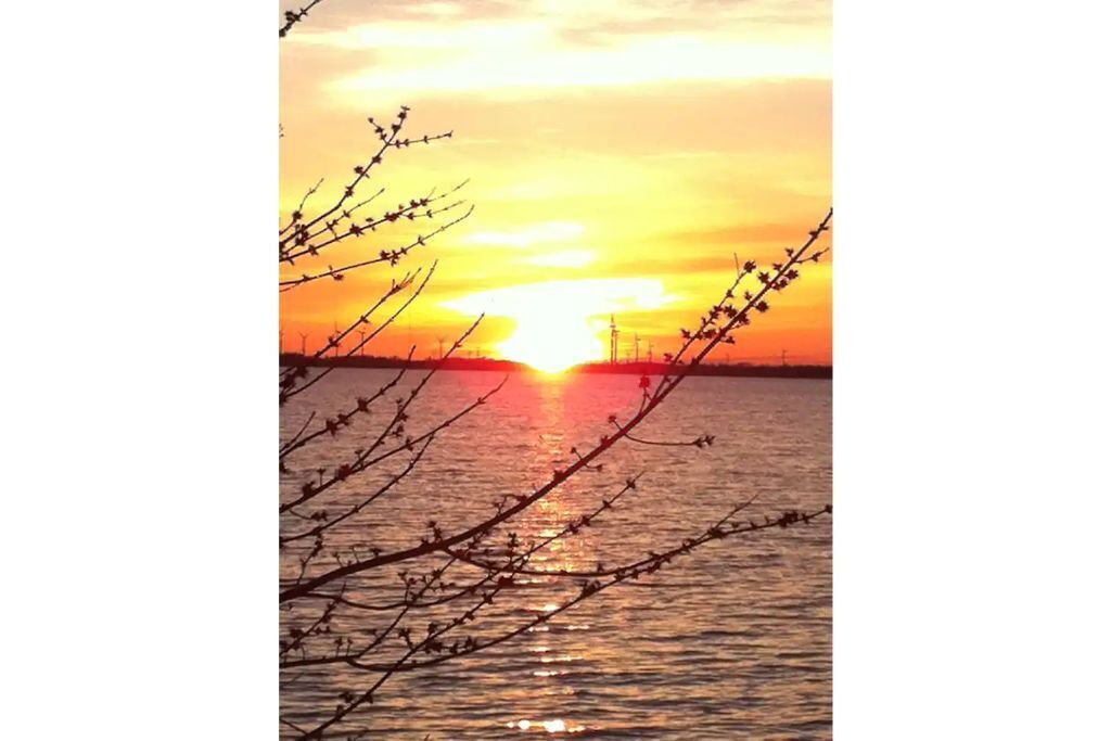 Photo of Others in Cape Vincent