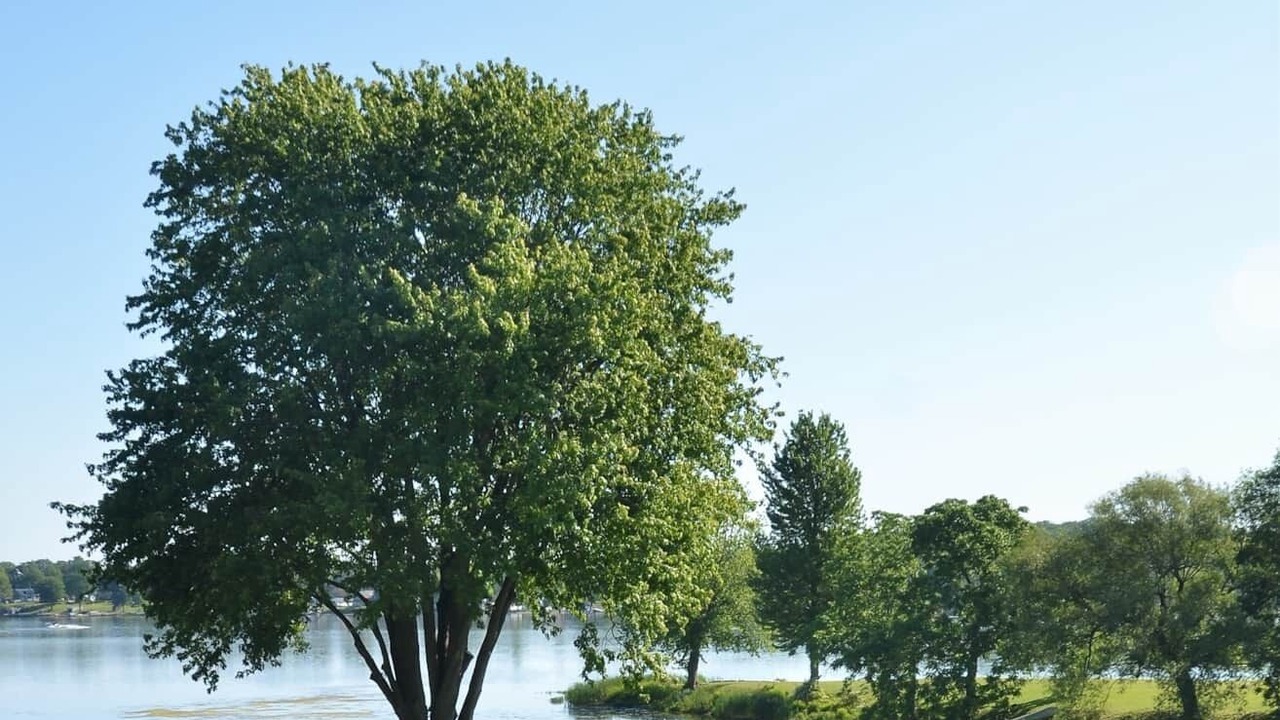 Photo of Outdoor in Wolcott