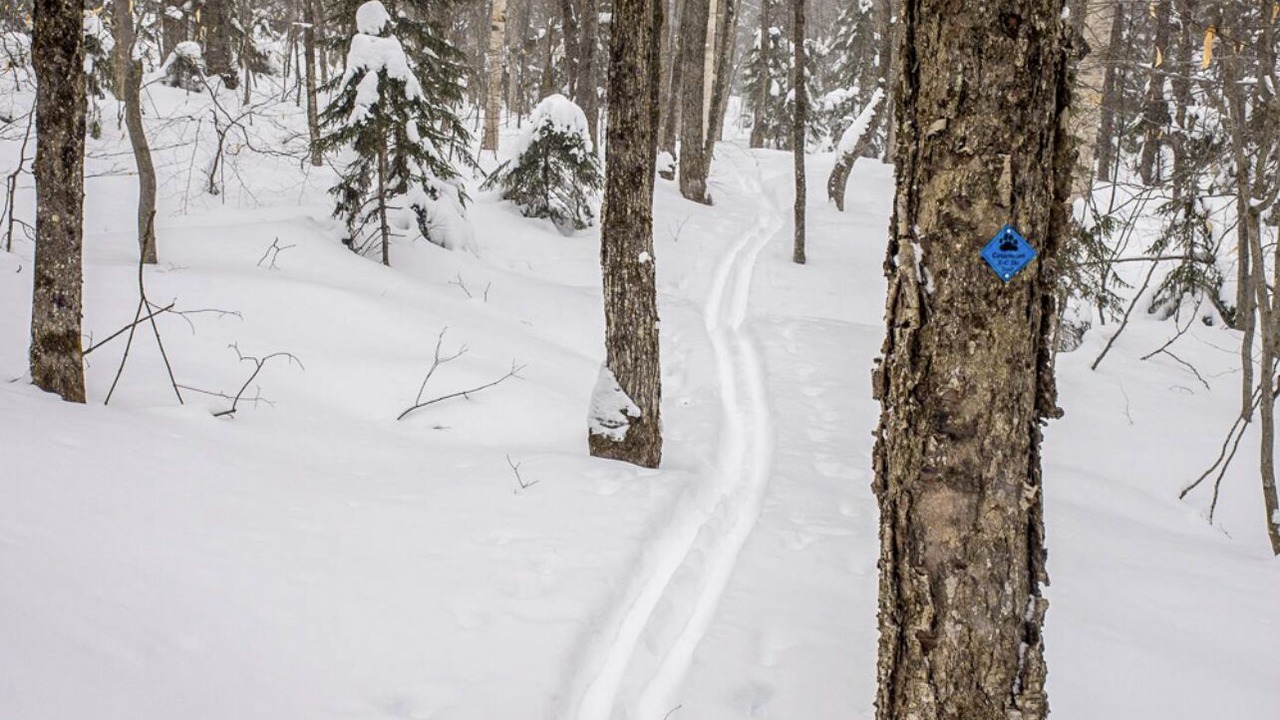 Photo of Others in East Haven  Rutland County