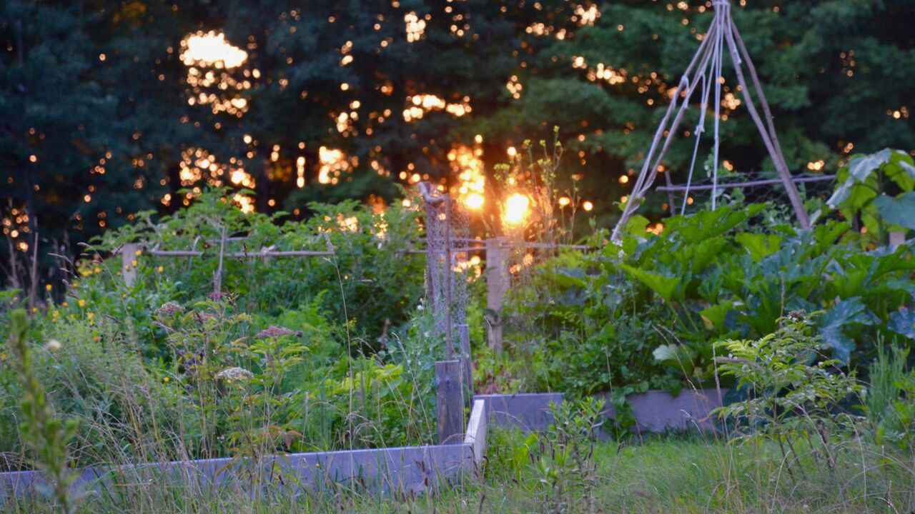Photo of Outdoor in Glover