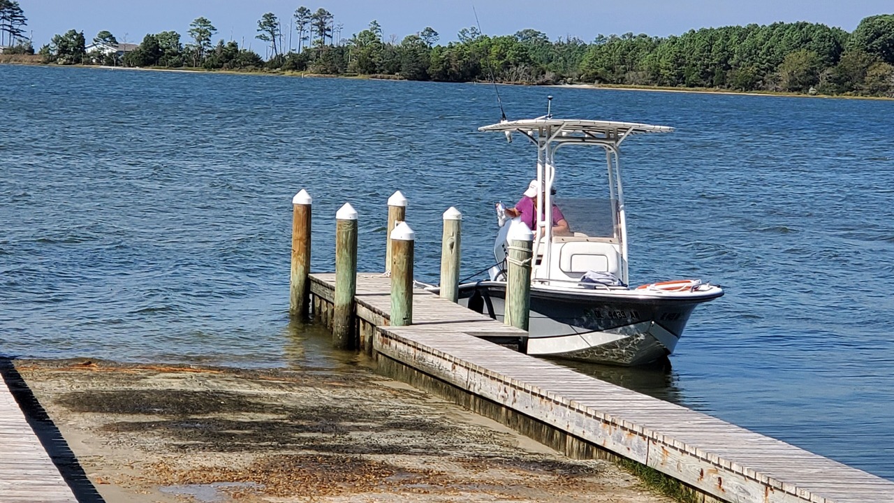 Photo of Others in Davis Wharf