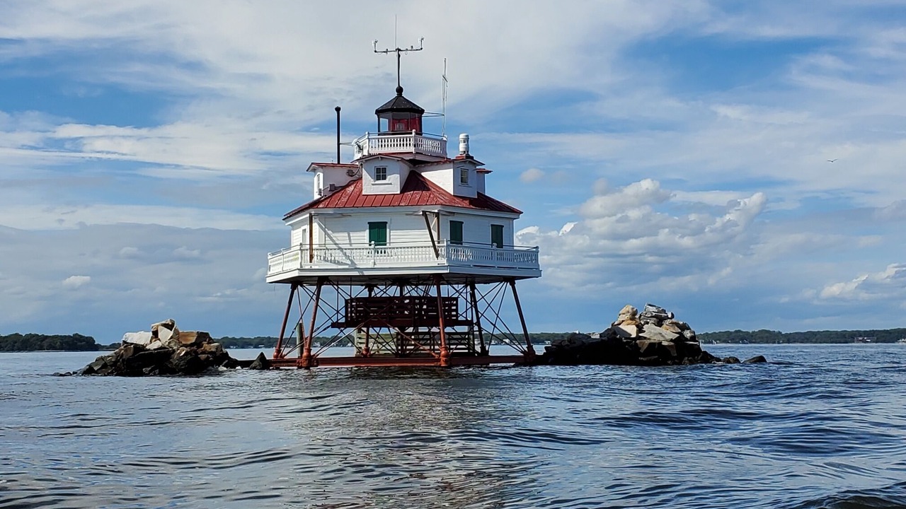 Photo of Others in Davis Wharf