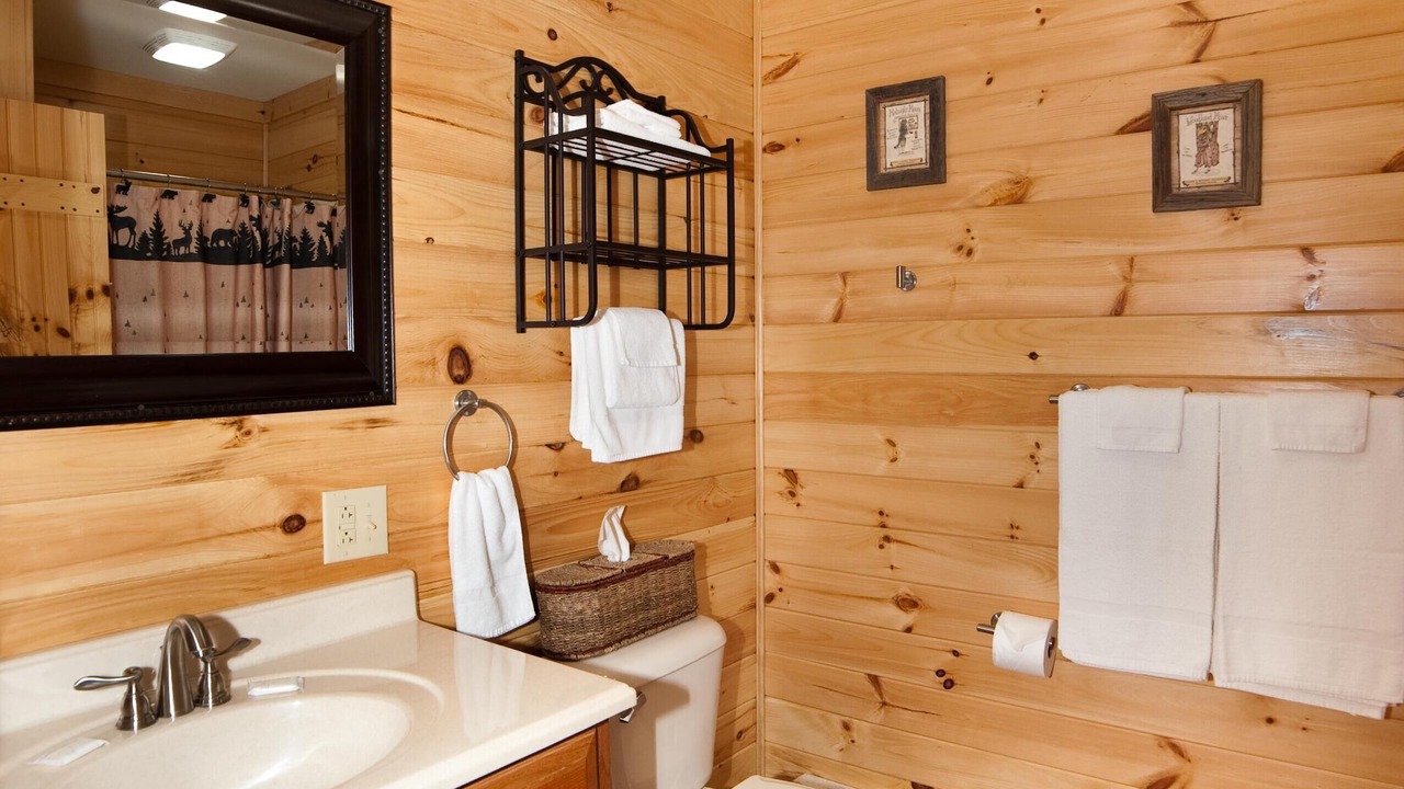 Photo of Bathroom in Flintstone