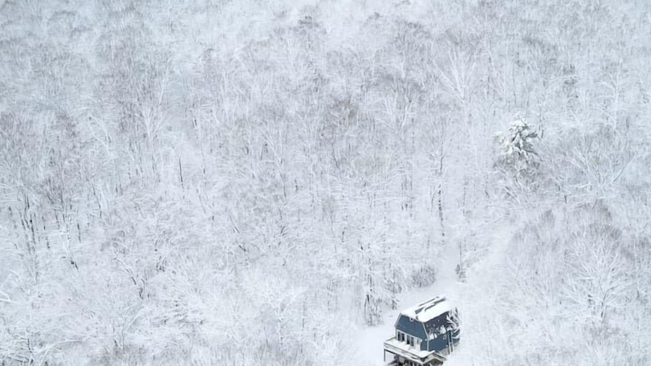 Photo of Others in East Dover