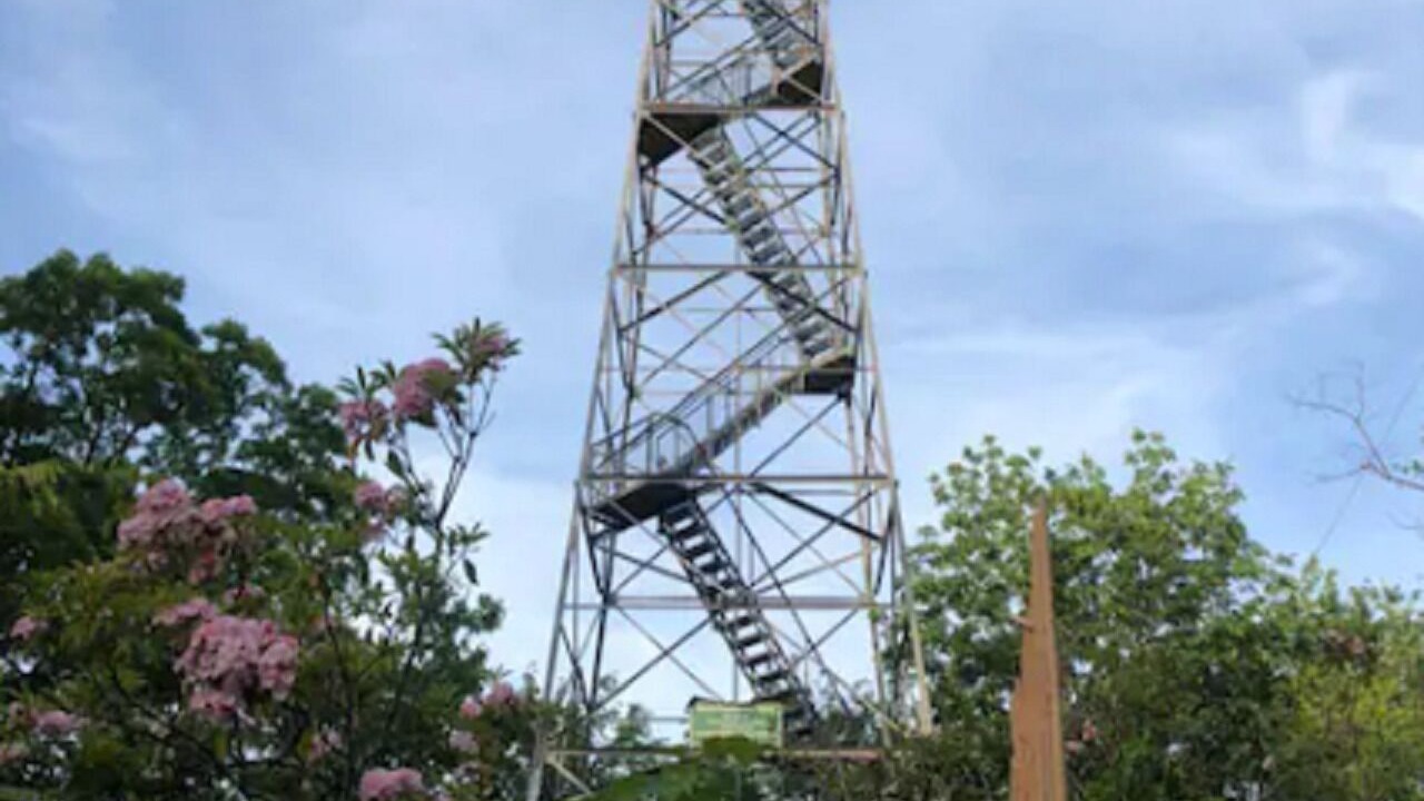 Photo of Others in Brewster