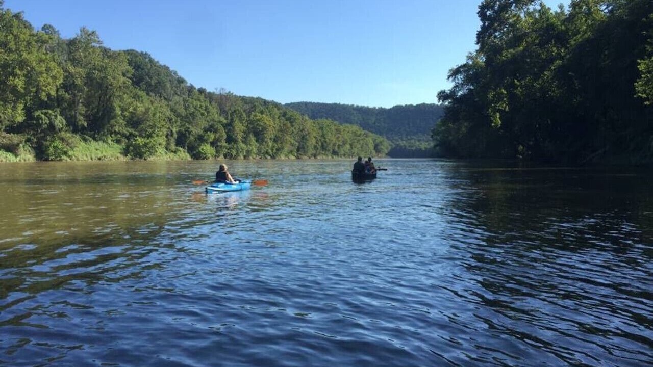 Photo of Others in Great Cacapon