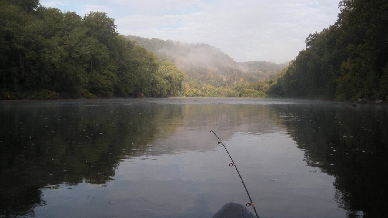 Photo of Others in Great Cacapon