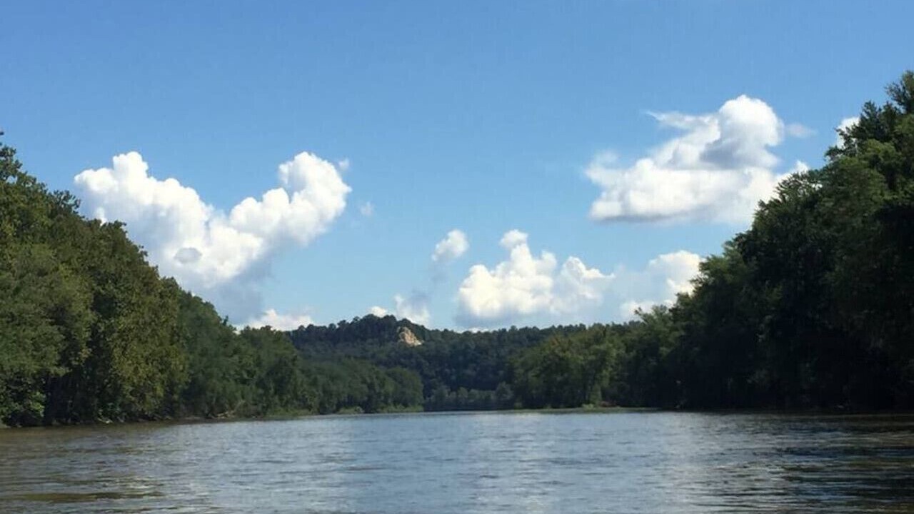 Photo of Others in Great Cacapon
