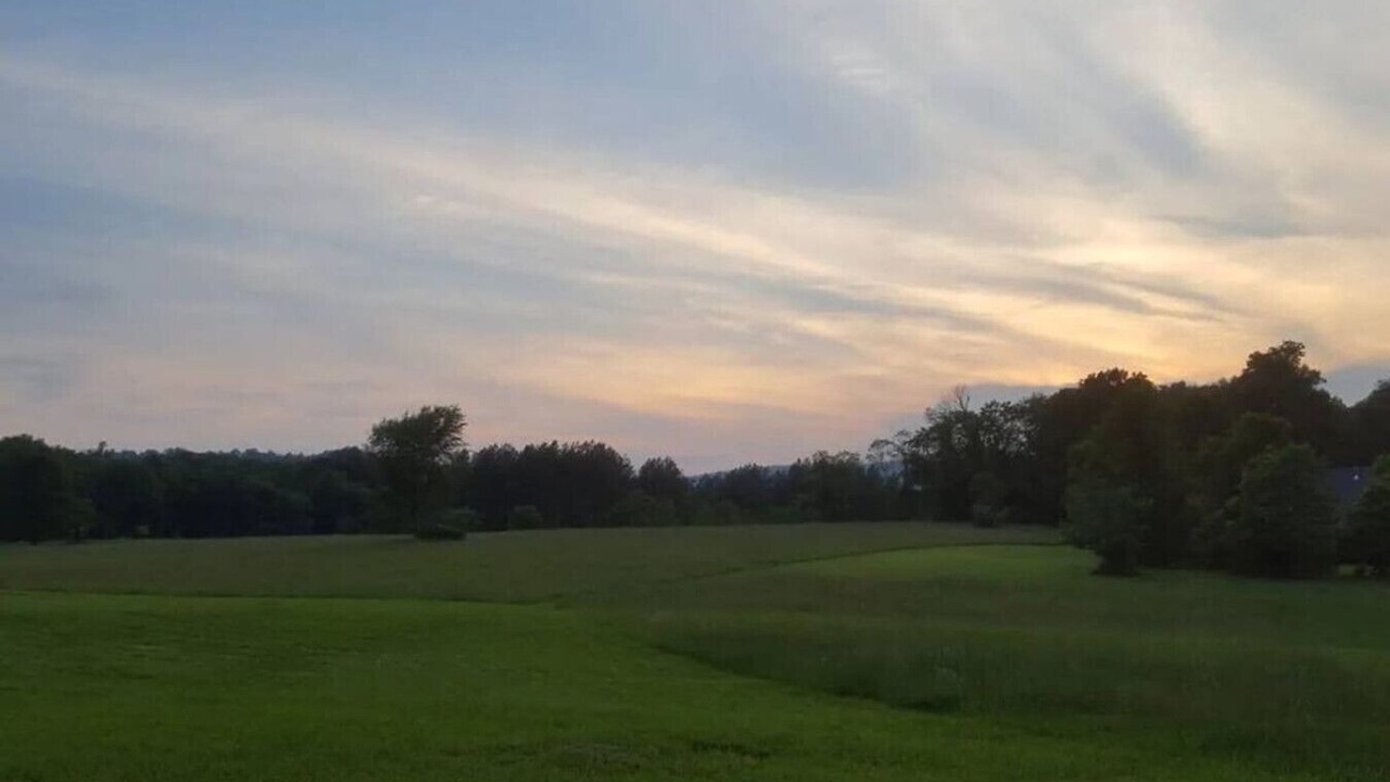 Photo of Others in Great Cacapon