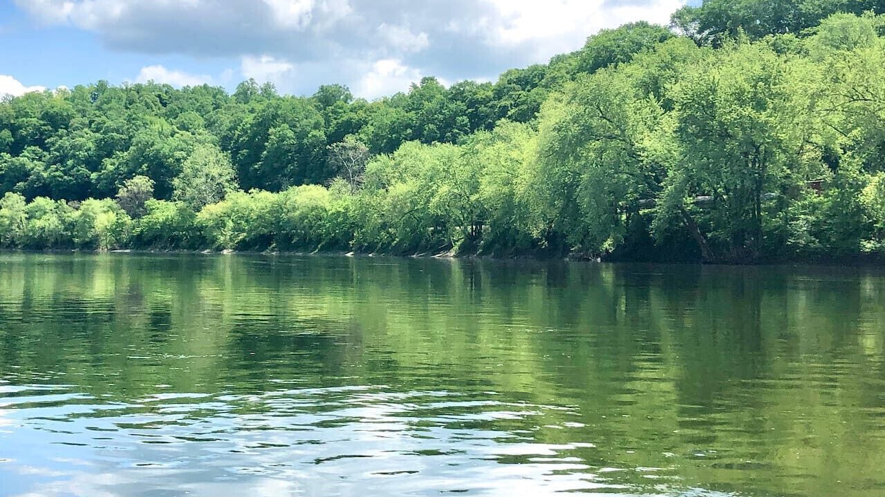 Photo of Others in Great Cacapon