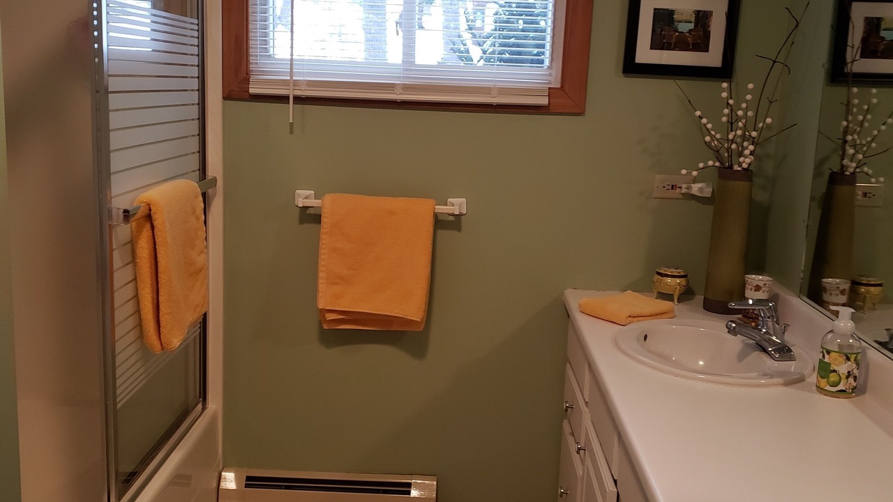 Photo of Bathroom in South Casco