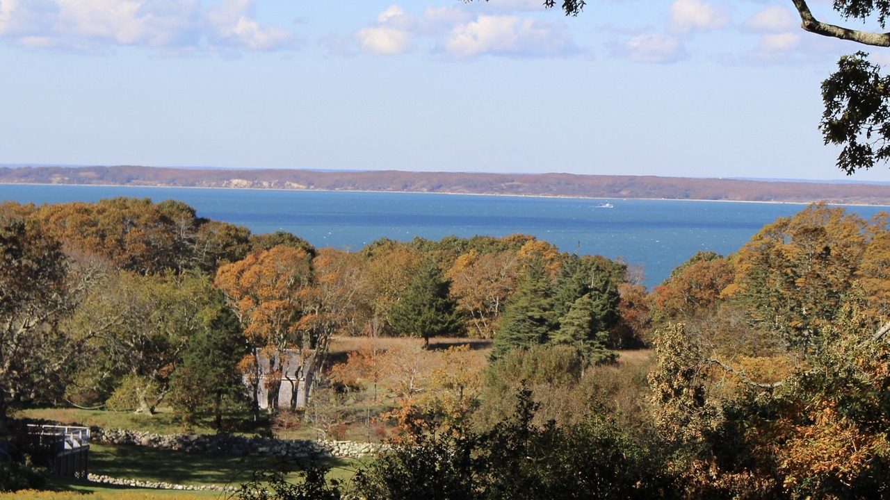 Photo of Others in West Tisbury