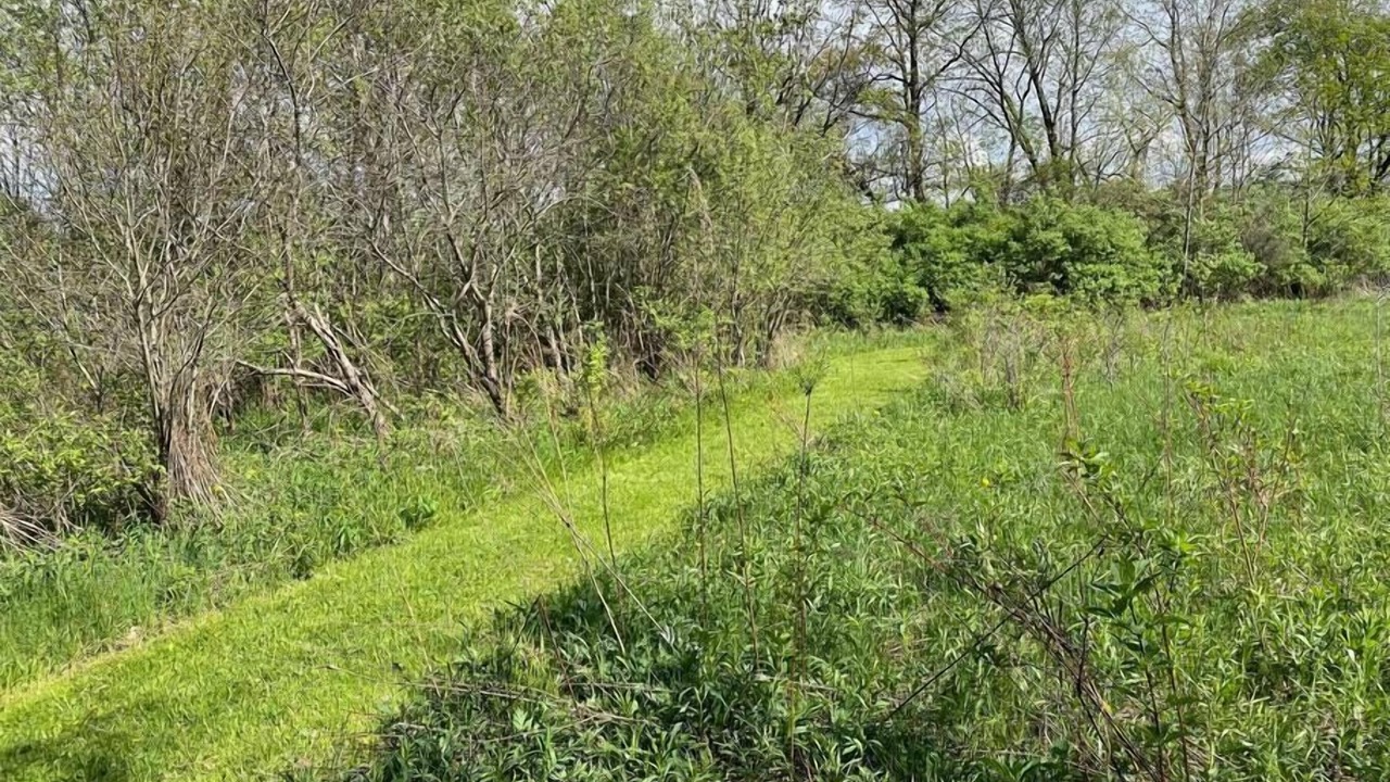 Photo of Others in Portageville