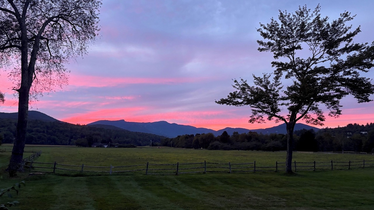 Photo of Others in Stowe Area