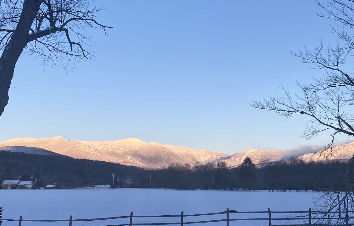 Photo of Others in Stowe Area