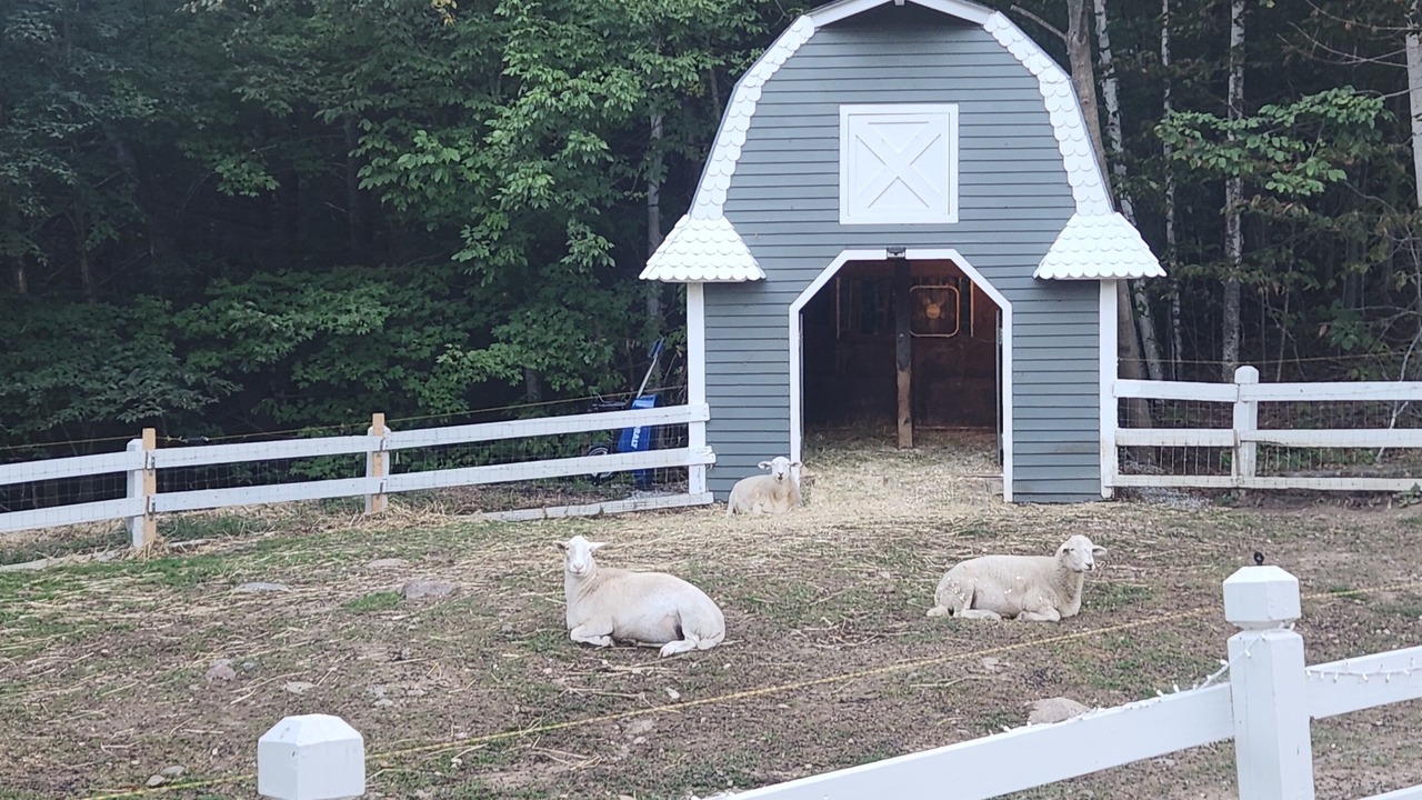 Photo of Others in Bartlett