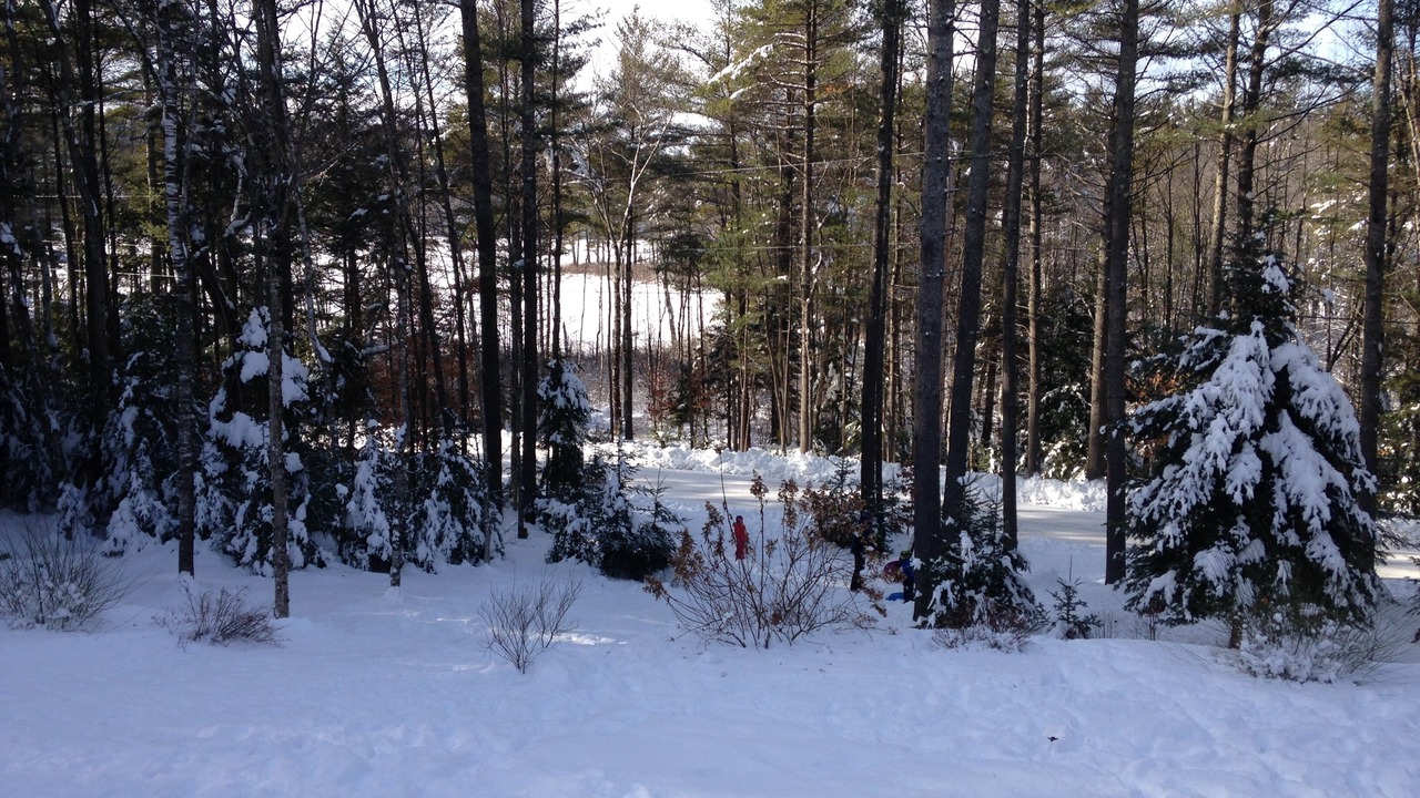 Photo of Others in New London