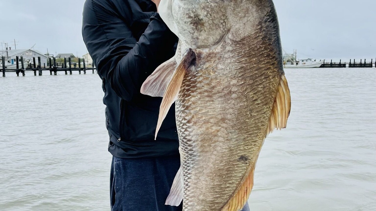 Photo of Others in Galveston