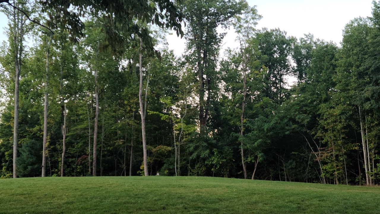 Photo of Outdoor in Hood
