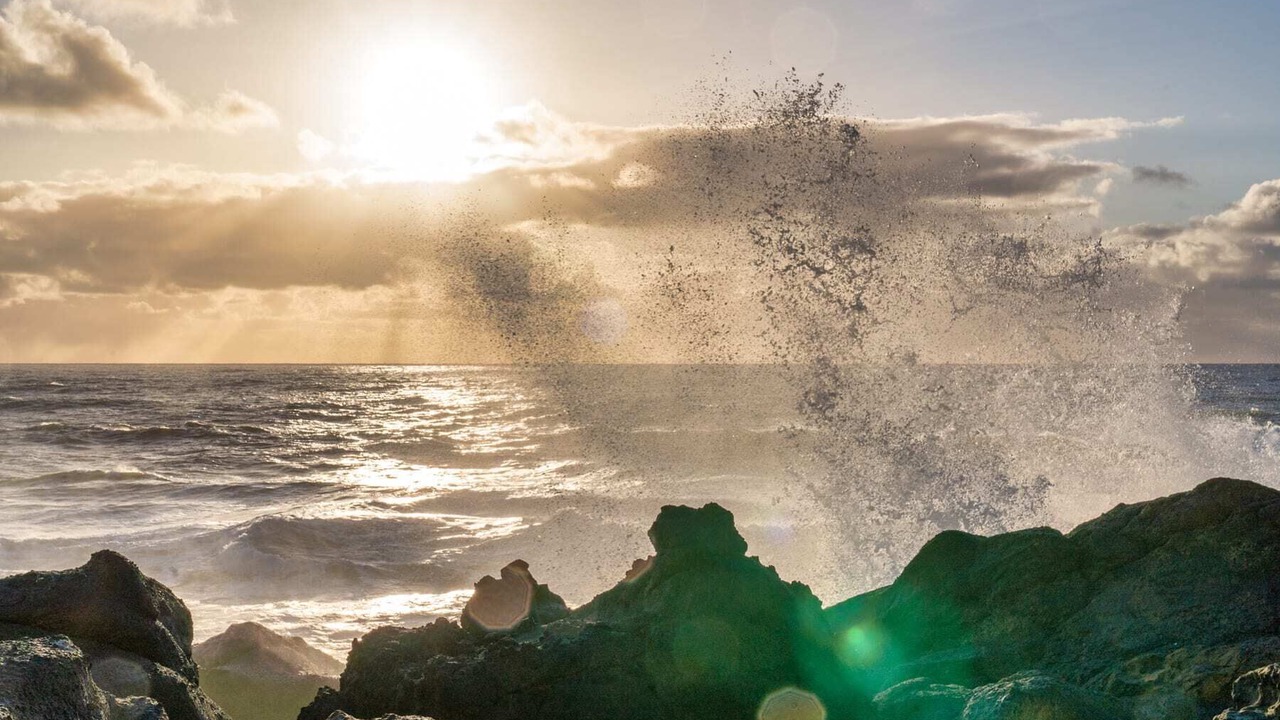 Photo of Others in Depoe Bay