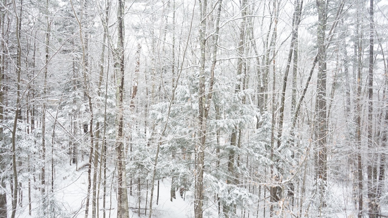 Photo of Others in Campton