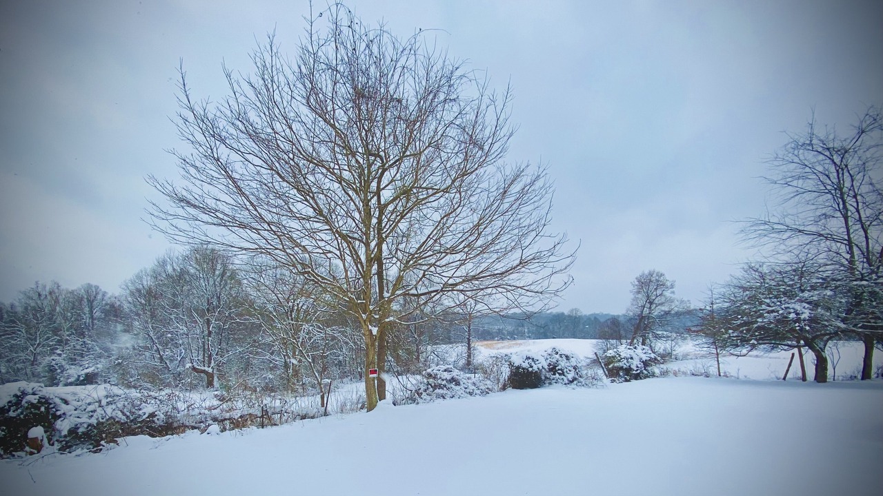 Photo of Outdoor in Point Pleasant