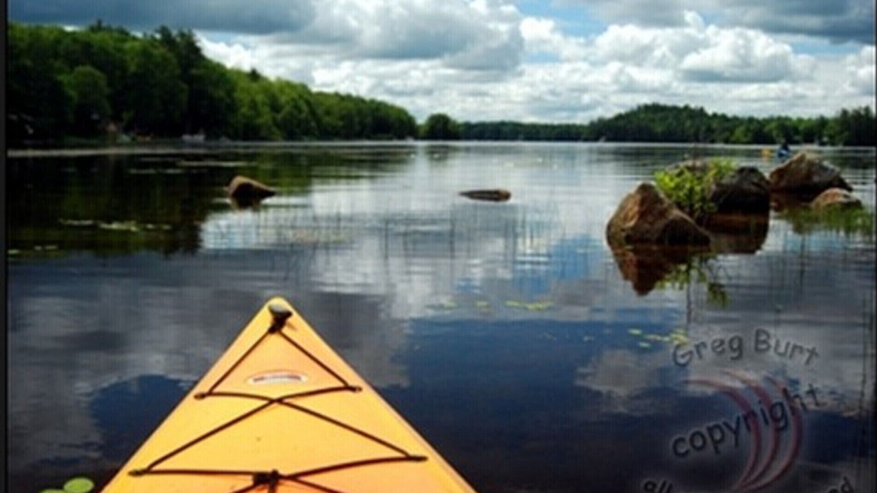 Photo of Others in Wolfeboro