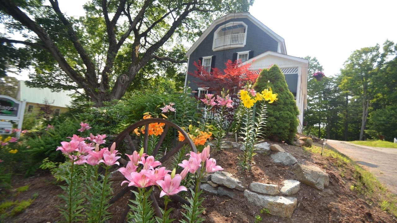 Photo of Others in Wolfeboro