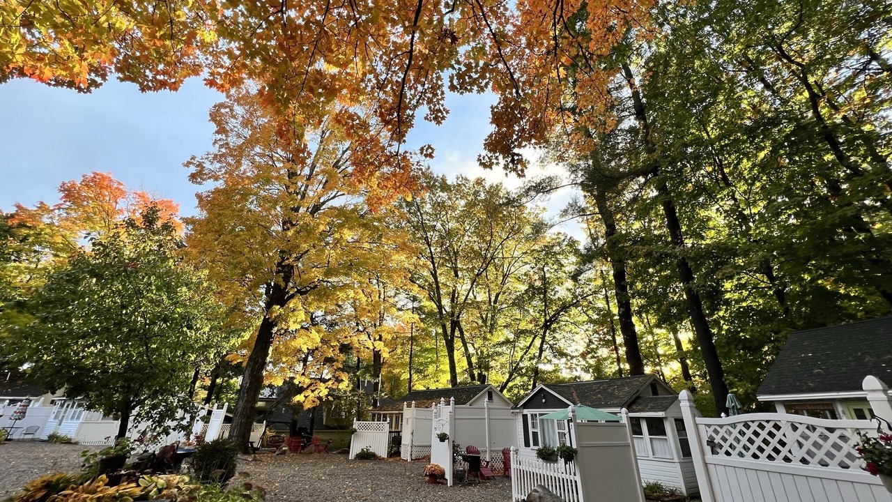 Photo of Outdoor in Wolfeboro