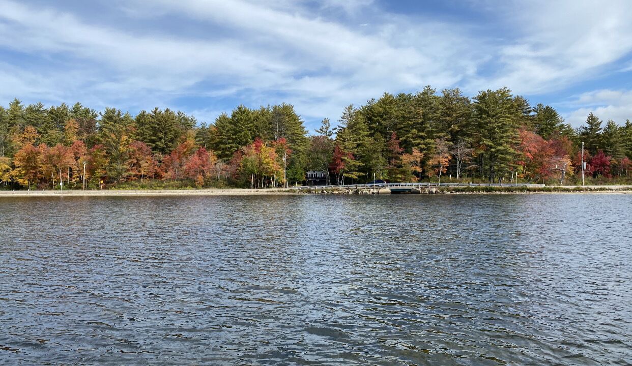 Photo of Others in Wolfeboro