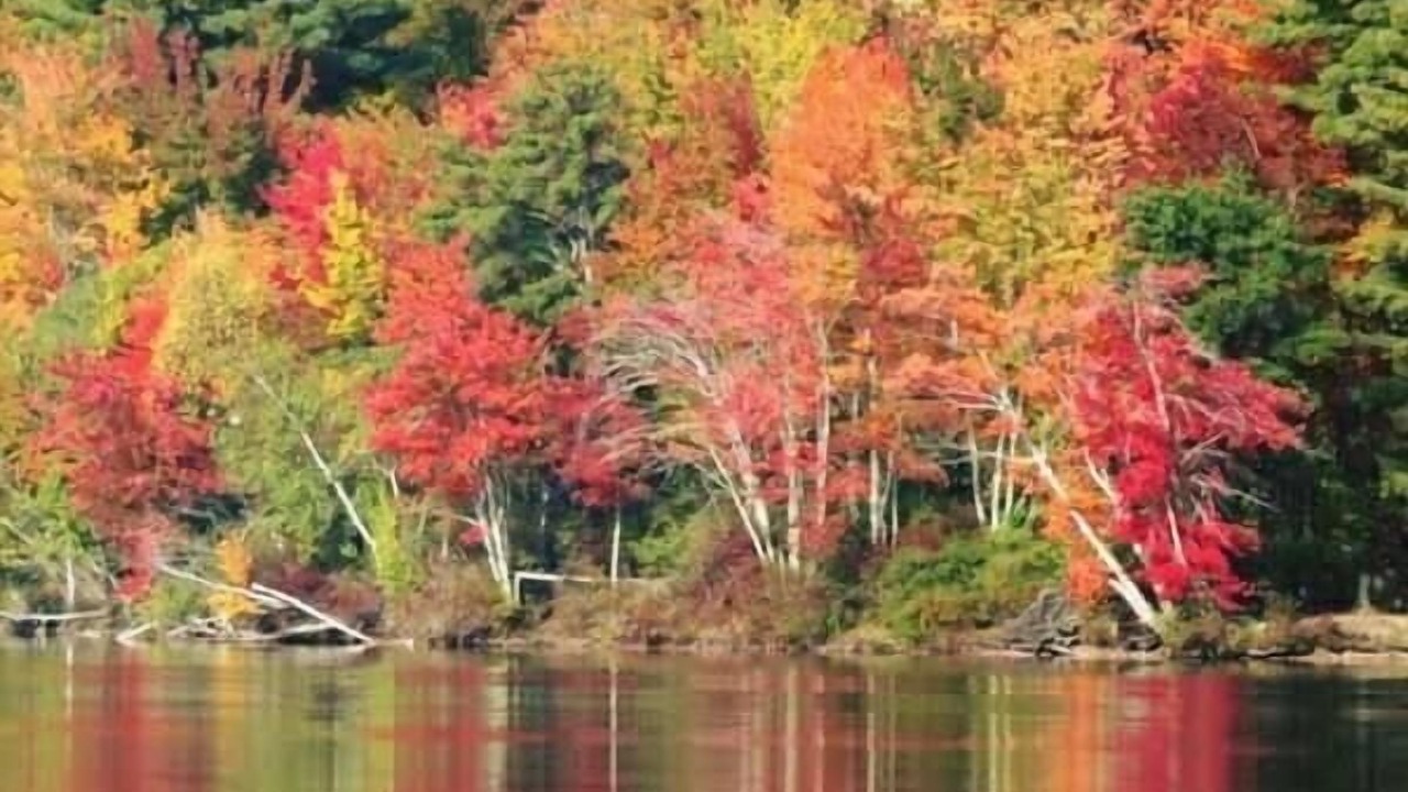 Photo of Others in Wolfeboro