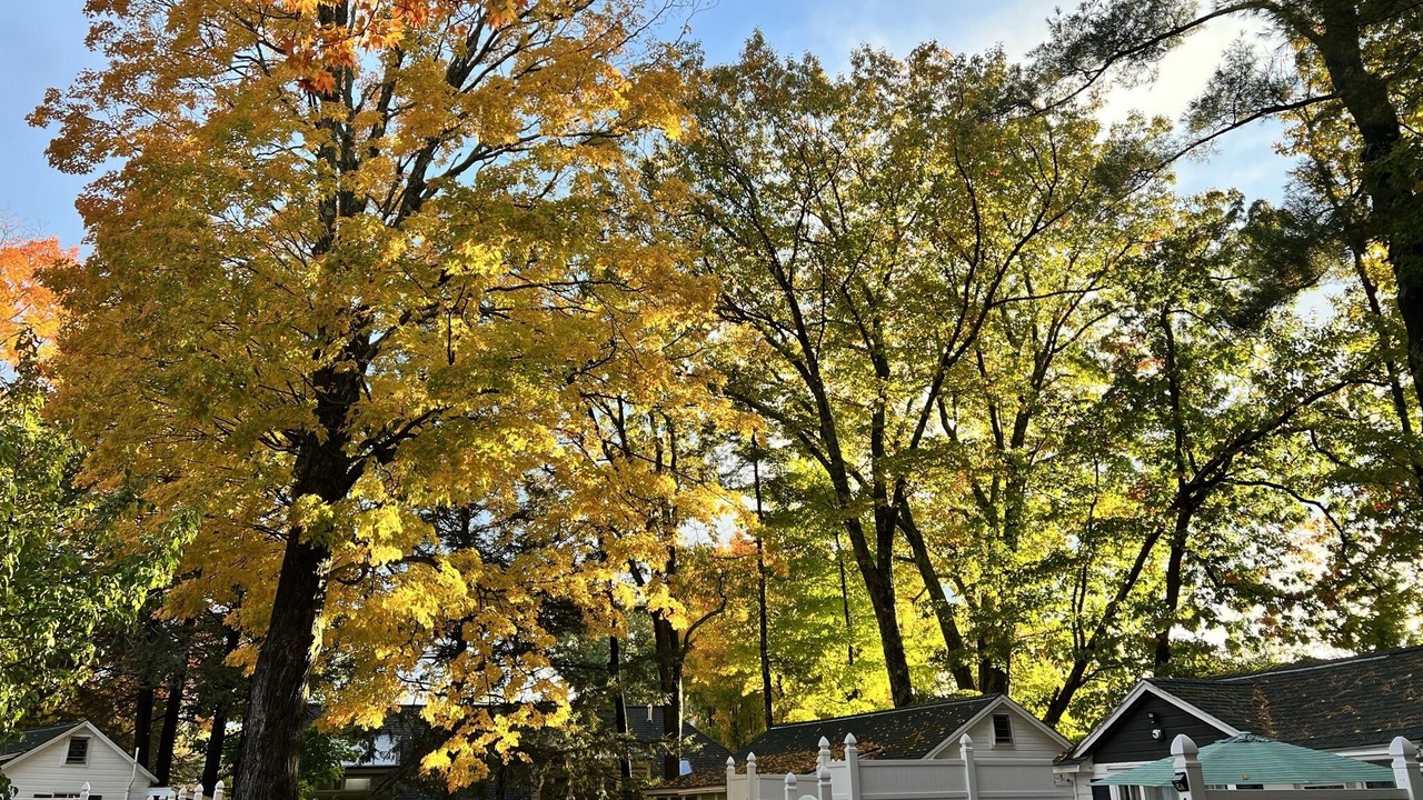 Photo of Others in Wolfeboro