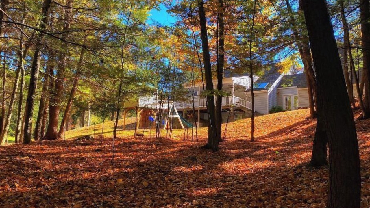 Photo of Outdoor in Belmont