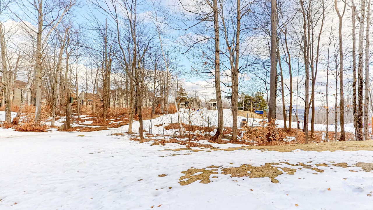 Photo of Outdoor in Ludlow